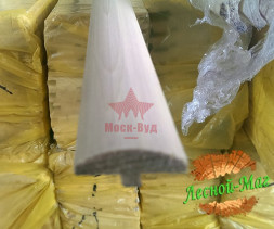 Грибок липа